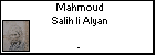 Mahmoud Salih li Alyan