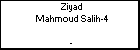 Ziyad Mahmoud Salih-4
