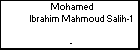 Mohamed Ibrahim Mahmoud Salih-1